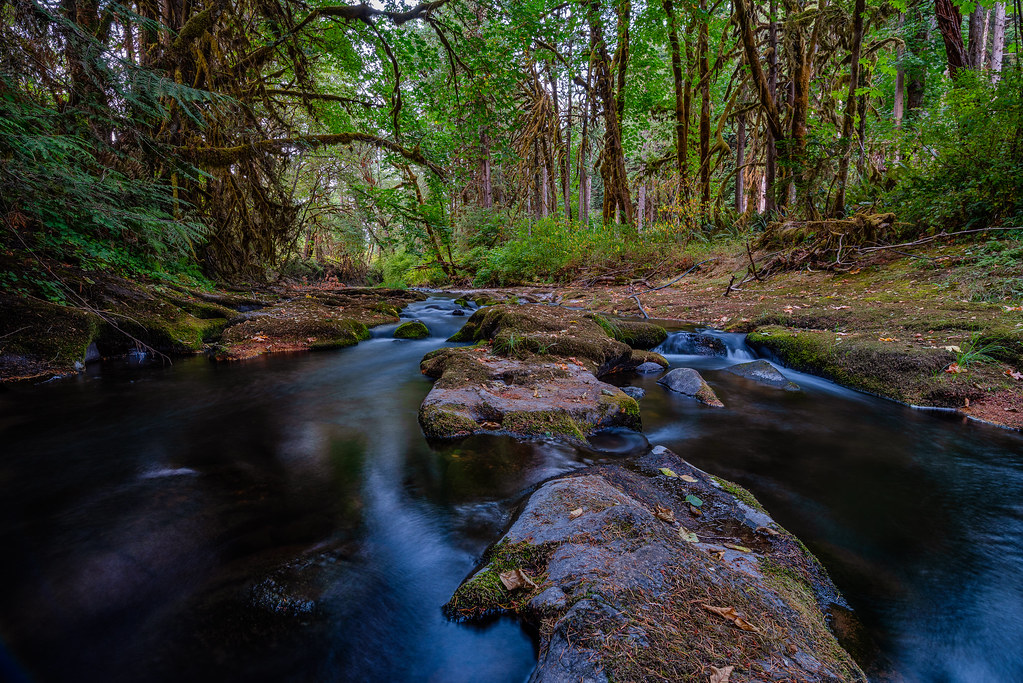 IMGP8336 Mohawk River III, Marcola, Oregon. Jarle Kvam Flickr