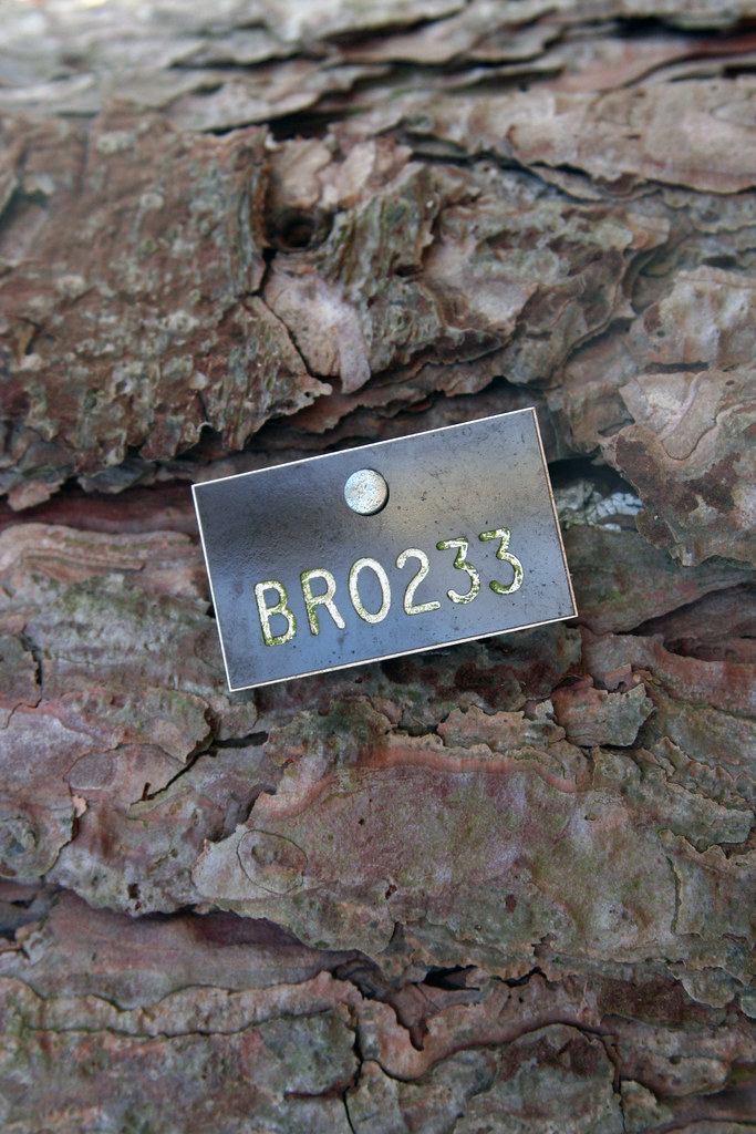 tree number BR0233 Colney Woodland Burial Park Norwich, No… Flickr