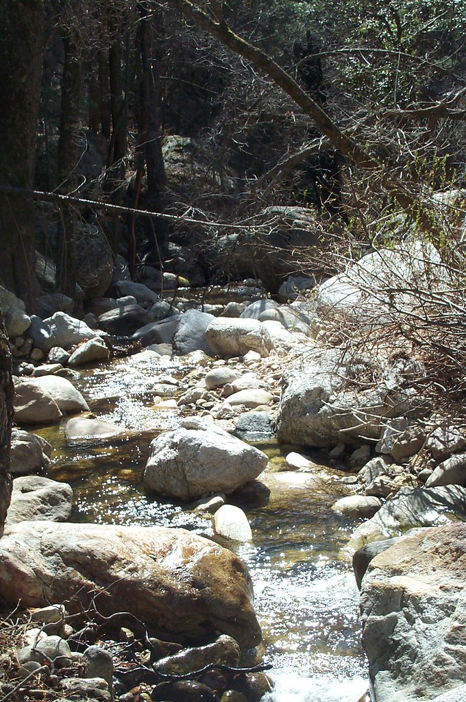 Box Spring Trail Hike Lemmon!