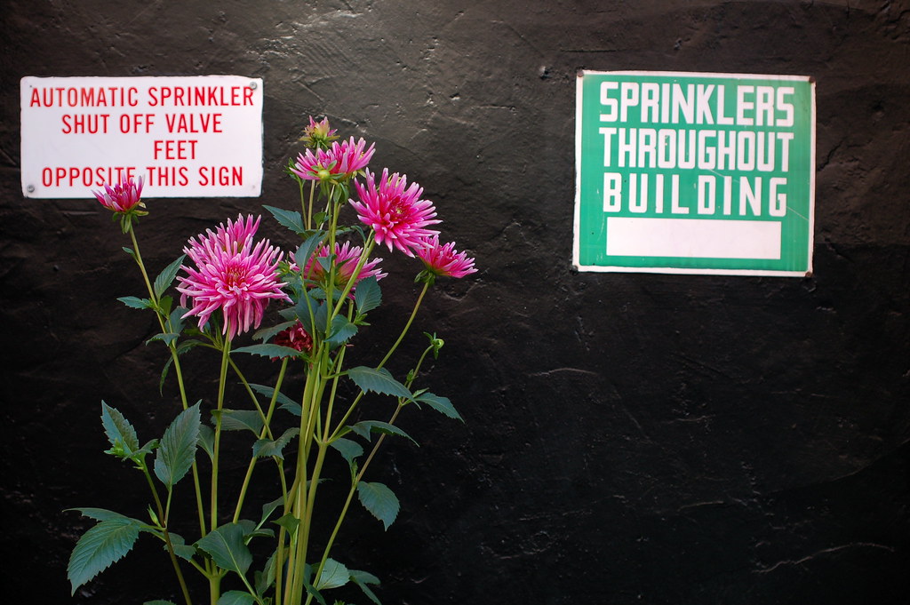 Sprinklers Throughout Building Guy Dickinson Flickr