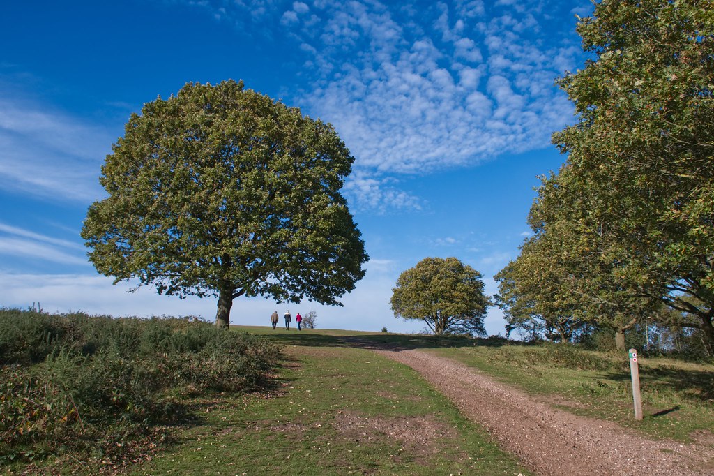 Kinver Edge Steve Hunt Flickr