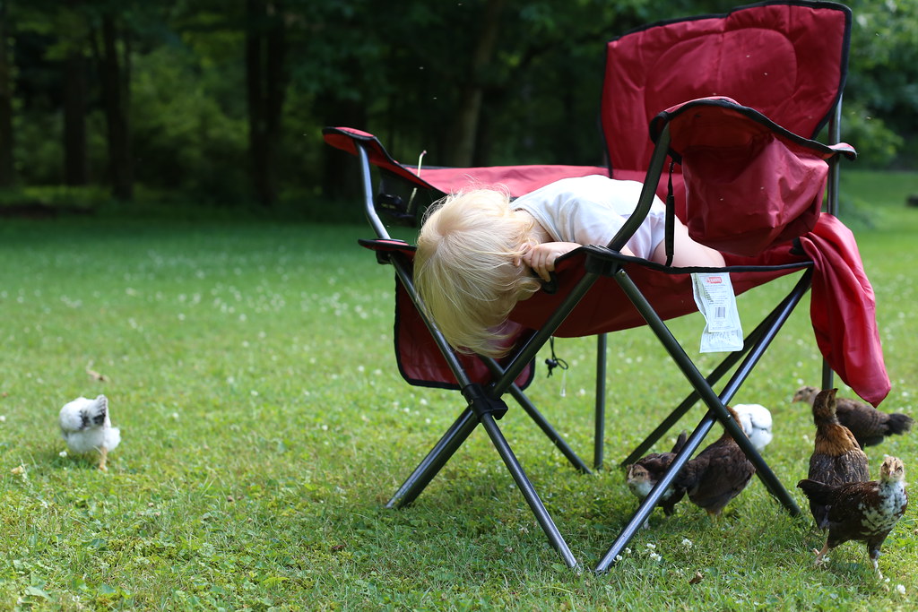 chicken herder Nicole Flickr