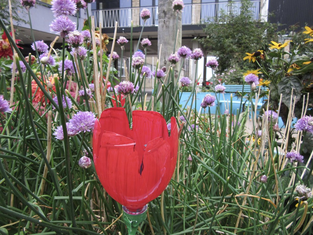 Community Garden Great Yarmouth Central Library LookaroundAnne Flickr