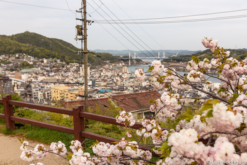 Onomichi235 All photos property of Japonismo Ltd. Please … Flickr