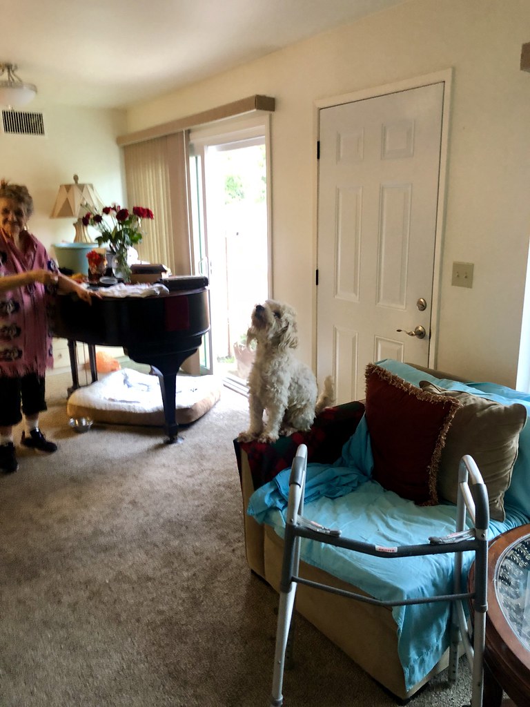 Untitled Carlos Peralta Flickr