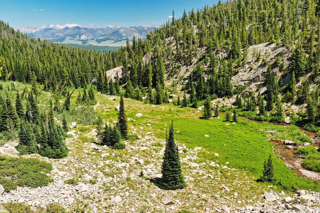 Elevation of Alturas Tent Campground, Alturas Creek Rd, Stanley, ID