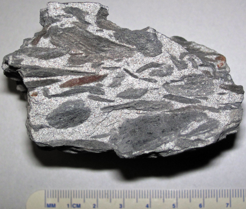 Ripup clasts in micaceous sandstone (lower Pottsville Group, Lower