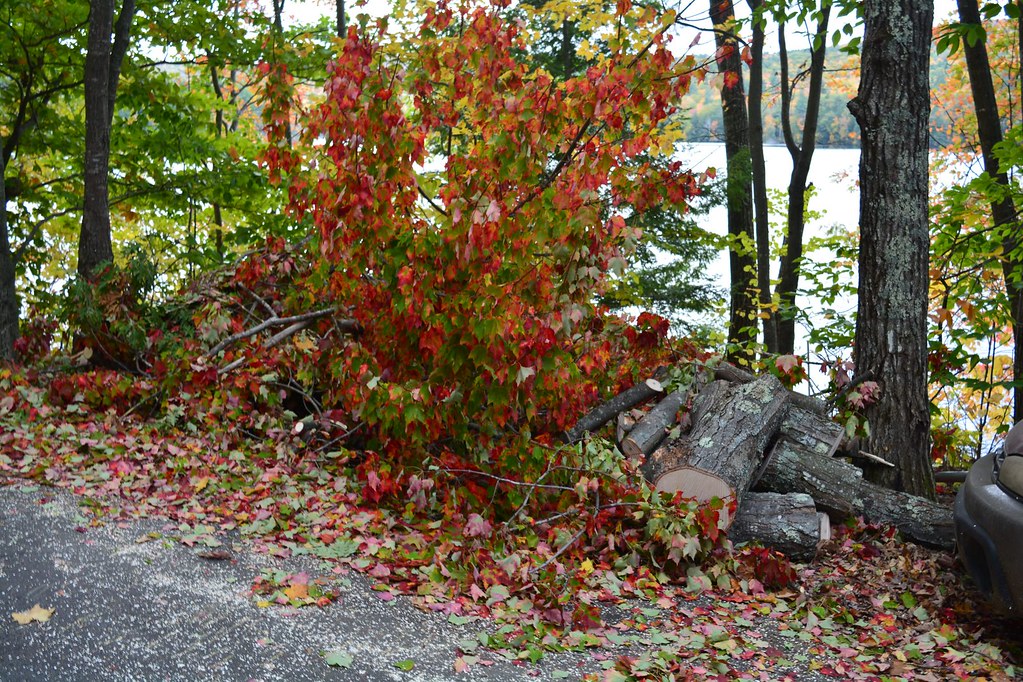2018_1017TheDayAfter0003 West Pond, Parsonsfield, Maine.… Flickr