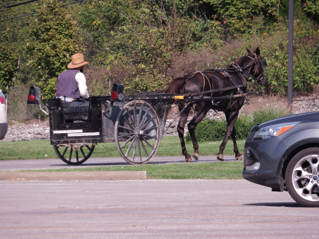 Amish at Walmart in Paoli, Indiana, IMG_7763 sullamand Flickr