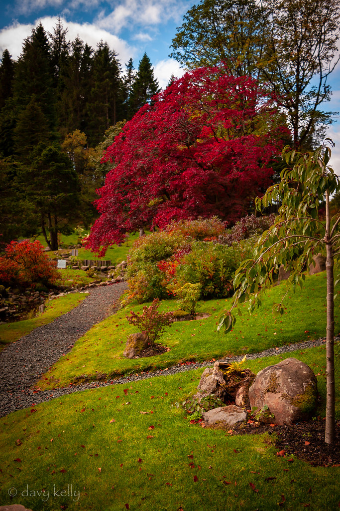 Japanese Gardens Cowden, Dollar, Scotland. Davy Kelly Flickr