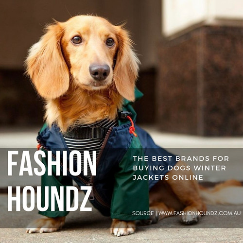 Fashion Houndz Buy dog clothes and accessories from Fashio… Flickr