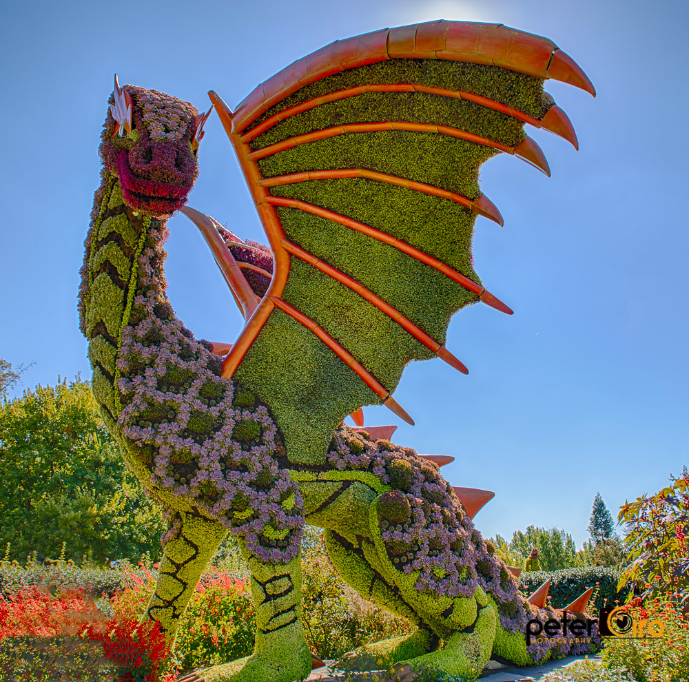 Dragon Made of Flowers Atlanta Botanical Garden Dragon M… Flickr