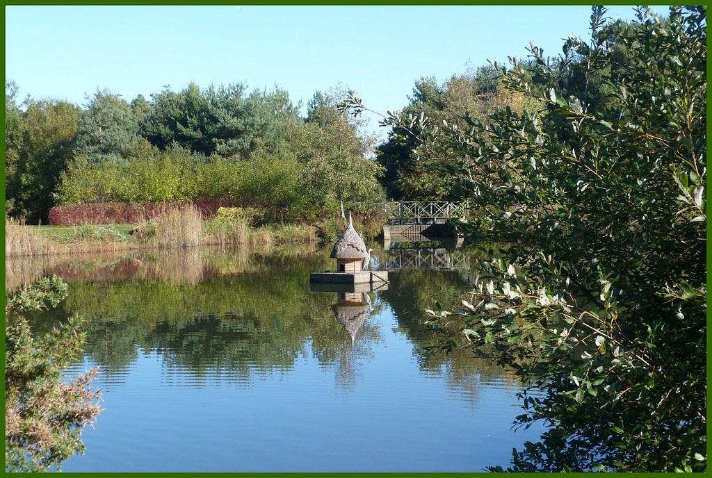Local Pond Best viewed large. Ann1635 Flickr