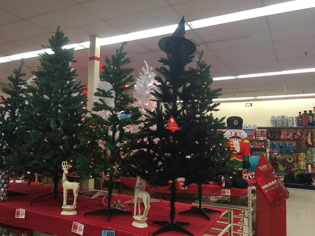 Roses of Sanford, NC Located in the Riverbirch Shopping Ce… tubabren Flickr