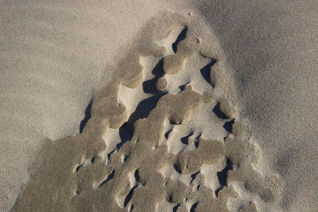 Windformed shapes, Netarts Bay beach, Oregon USA nikname Flickr