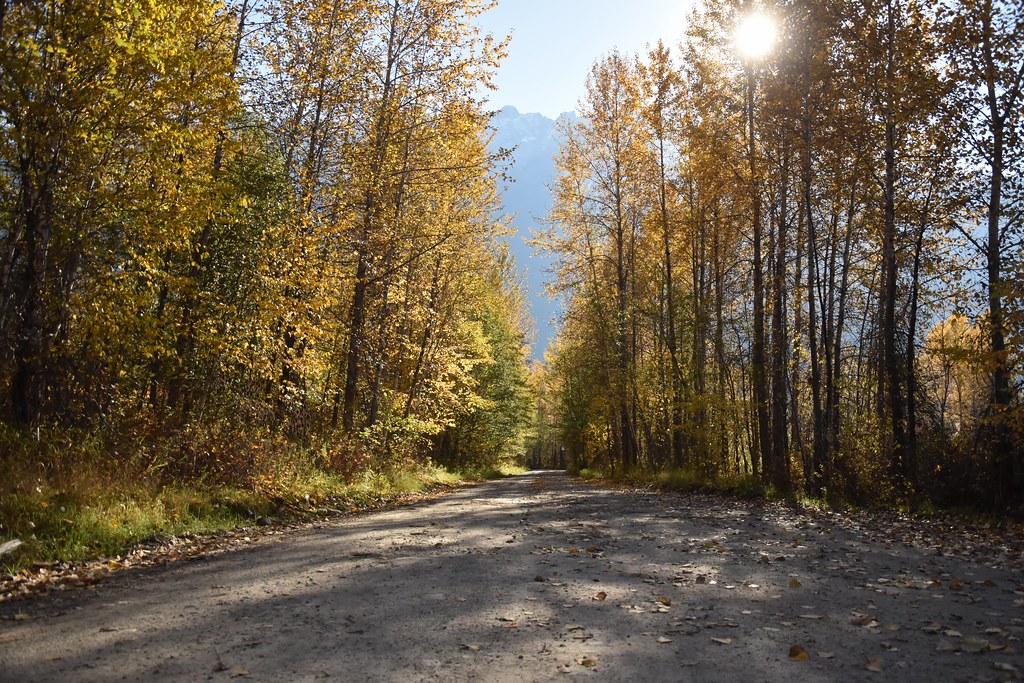 Pemberton Valley a photo on Flickriver