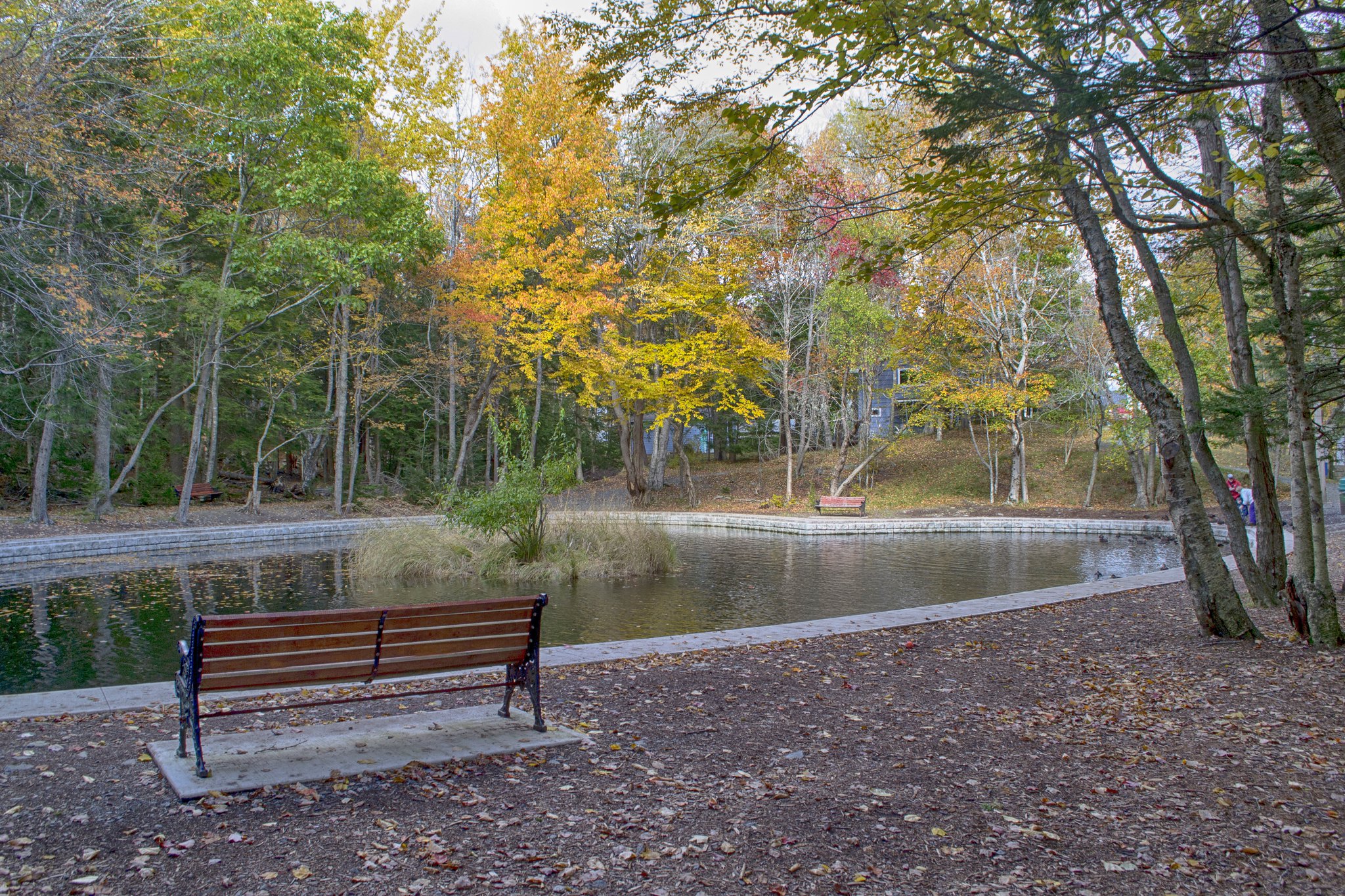 Photo Gallery Hemlock Ravine Park in Halifax, Nova Scotia HalifaxTrails