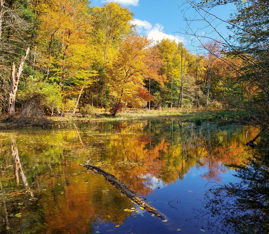 Carlson Pond Hurd State Park, East Hampton, Connecticut keith thom Flickr