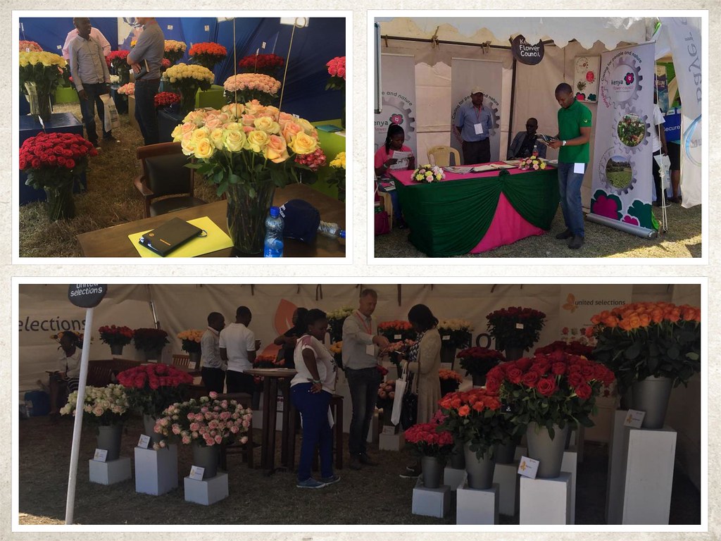 flowers (1) The 16th edition of Naivasha Horticultural Fai… Flickr