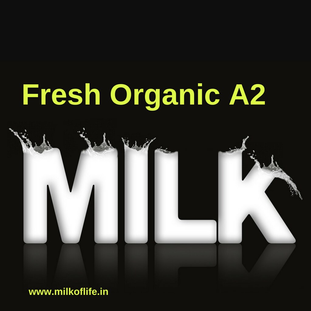 Pure Desi Orgnaic Cow Milk Dairy Farm In Delhi Milk Of L… Flickr
