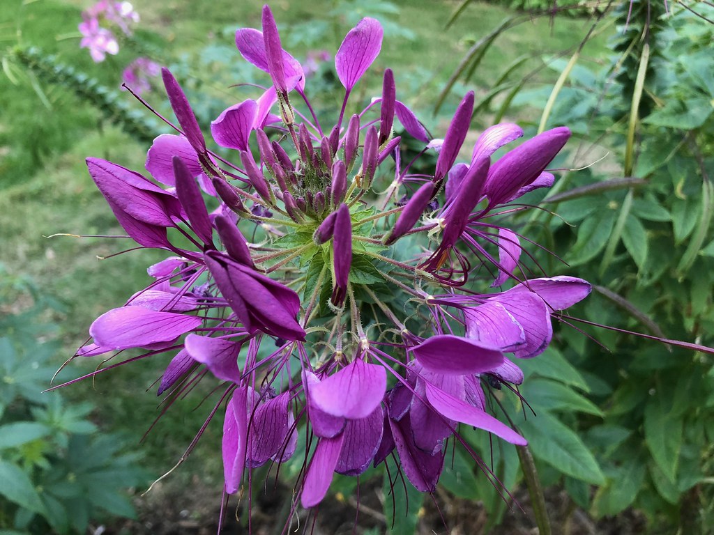 Lawrence, Kansas in October Stephen Ware Flickr