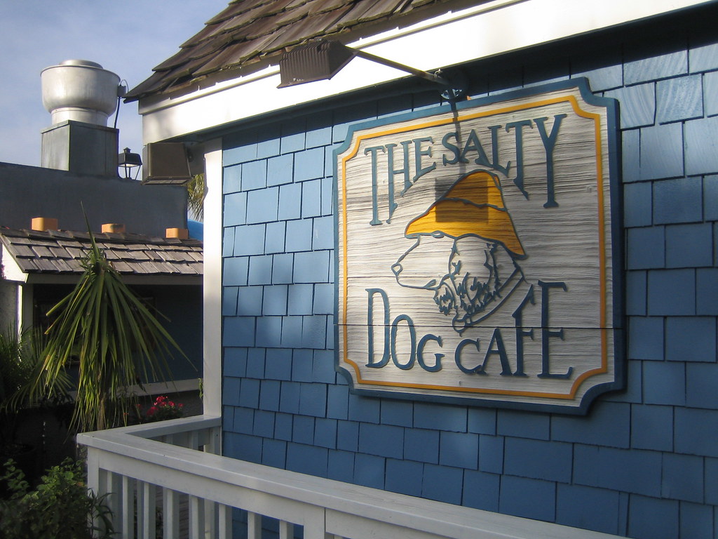 The Salty Dog Cafe The Salty Dog Cafe at the tip of Hilton… Flickr