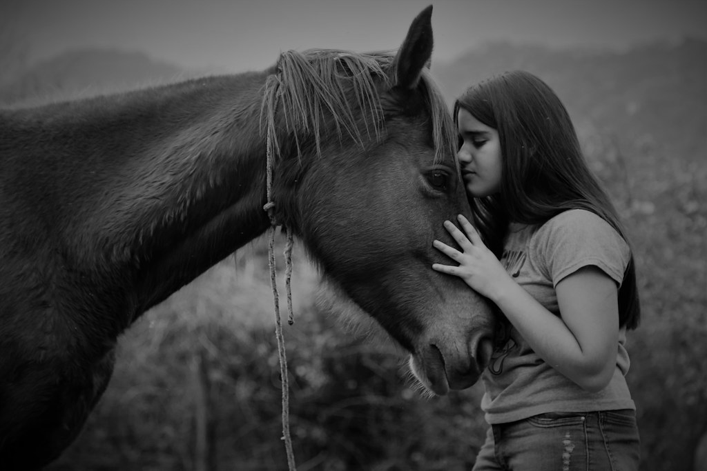 Portrait of a girl and her horse Alejandro David Olivera Flickr