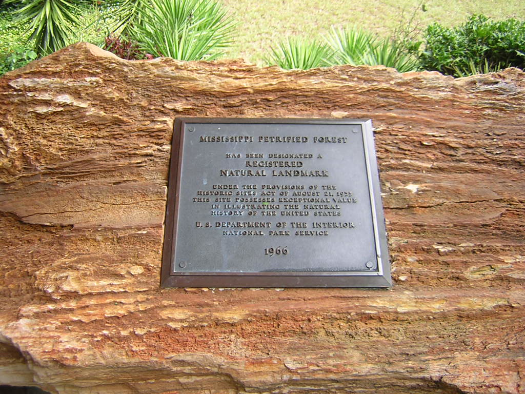 Mississippi Petrified Forest, MS12 Flora, MS (Madison Coun… Flickr