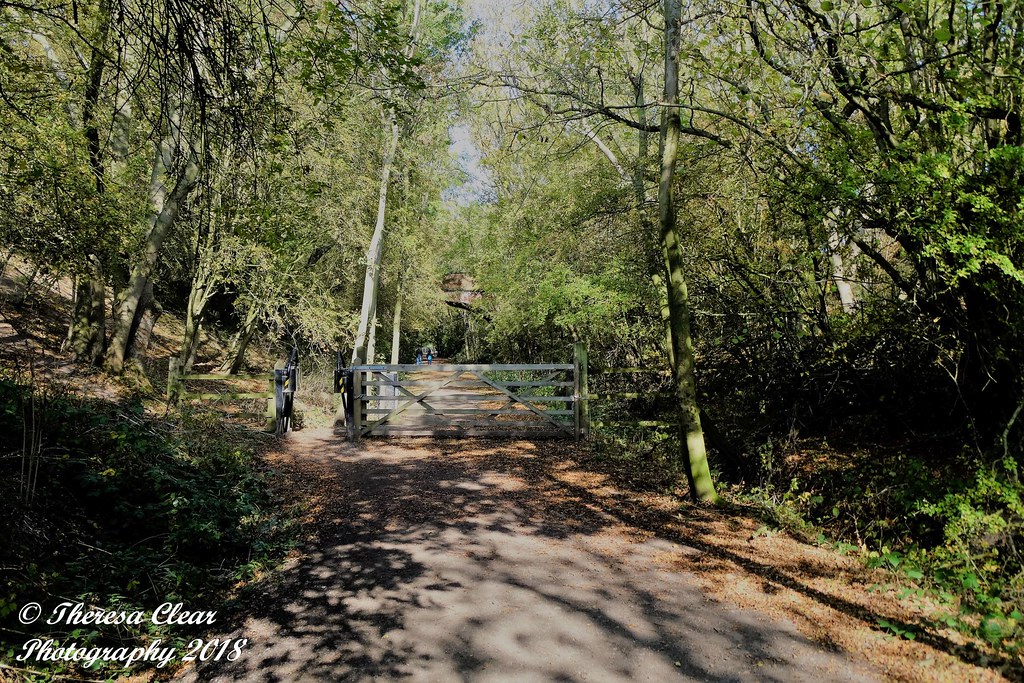 Wynyard Woodland Park 10 October 2018 Flickr