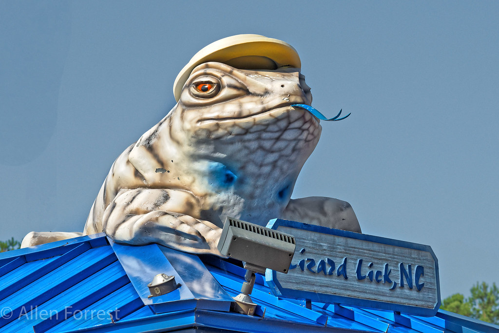 Lizard Lick ATM Lizard Lick, North Carolina Allen Forrest Flickr
