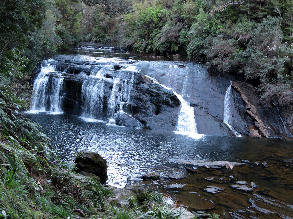 Coal Creek Falls Runanga, West Coast, South Island, New Ze… Katja Schulz Flickr