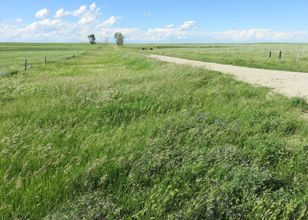 White Butte Landscape (Slope County, North Dakota) Flickr
