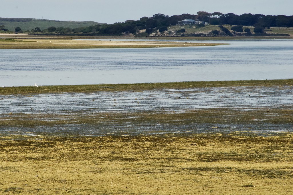 American River Kangaroo Island South Coast of South Austra… John