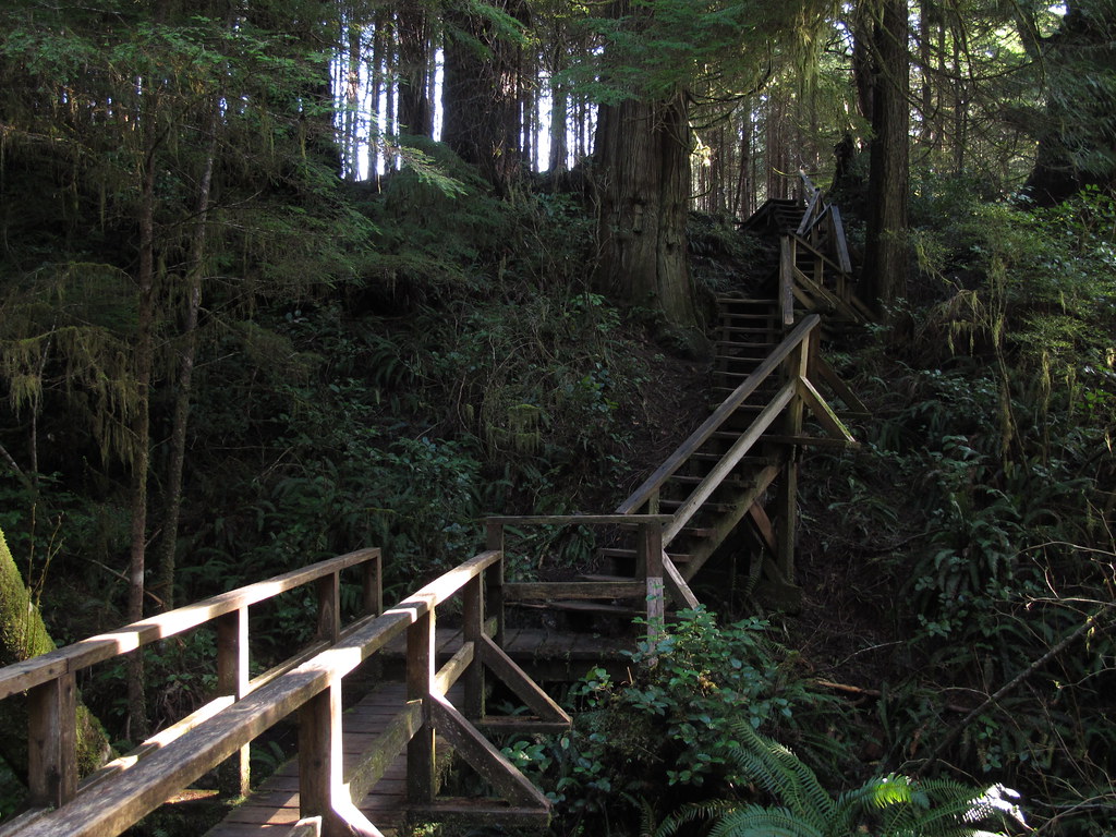 Schooner Cove Trail Pacific Rim National Park Reserve Kelly Michals