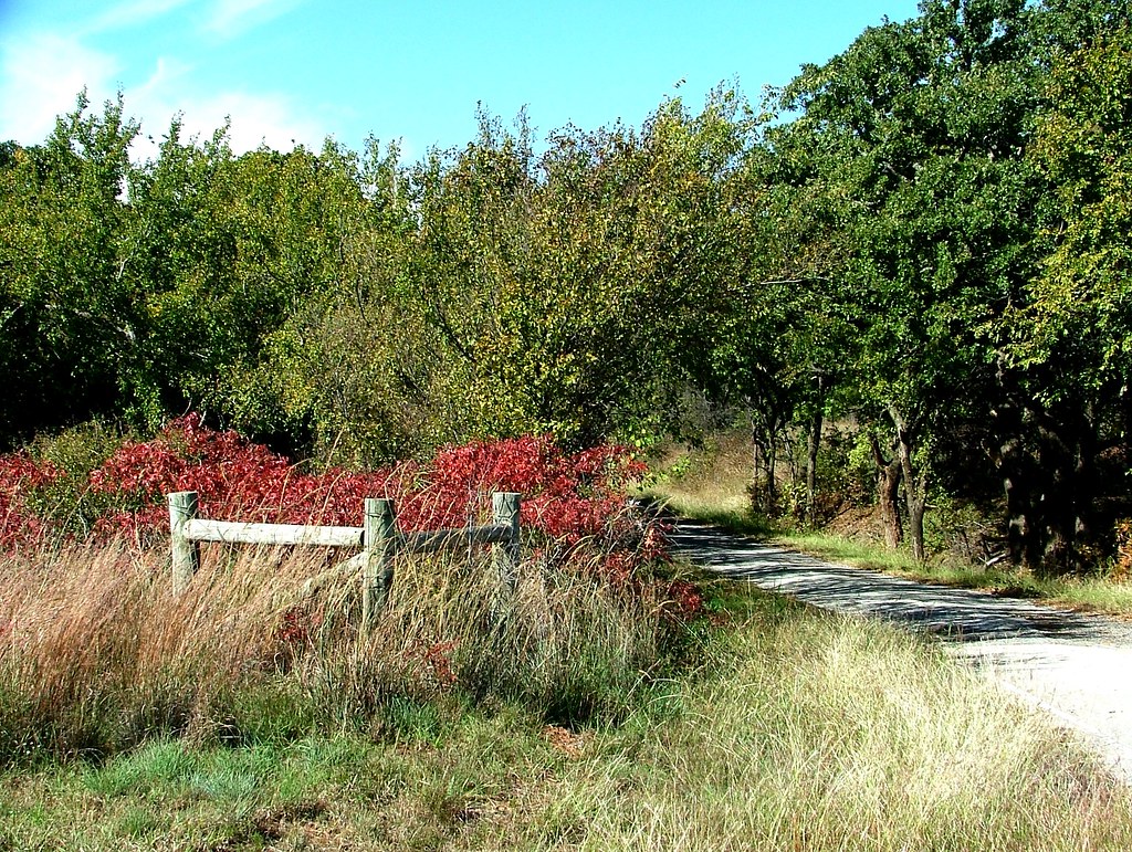 Peaceful 5986 2018 10 21 001 file Sumac explored Oklahoma John H