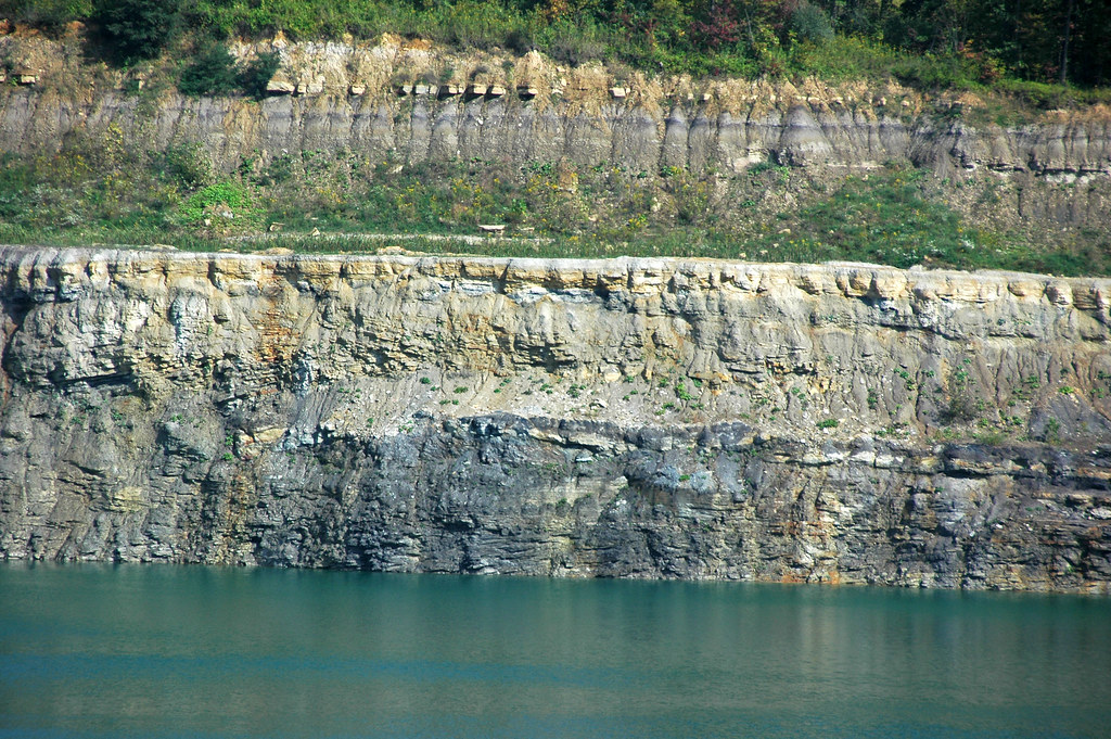 Pottsville Group (Pennsylvanian; Dupler Pit, East Fultonha… Flickr