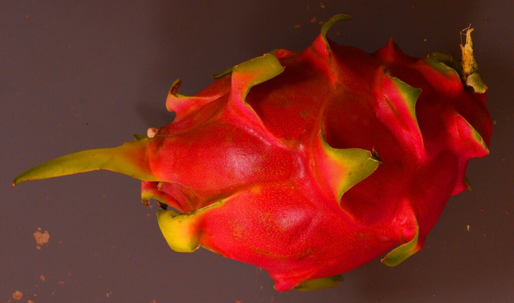 TUNA DE TASAJO Increíble fruta de Chiapas j. carmen anaya arteaga