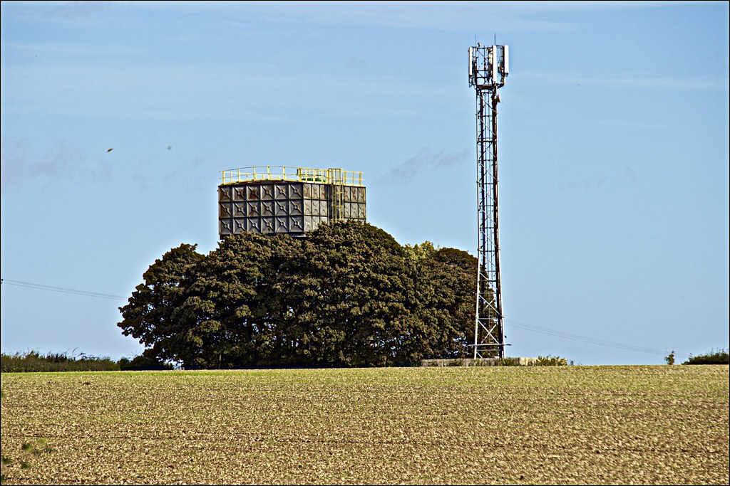 What grows through Trees Rowley East Yorkshire on the way … Flickr