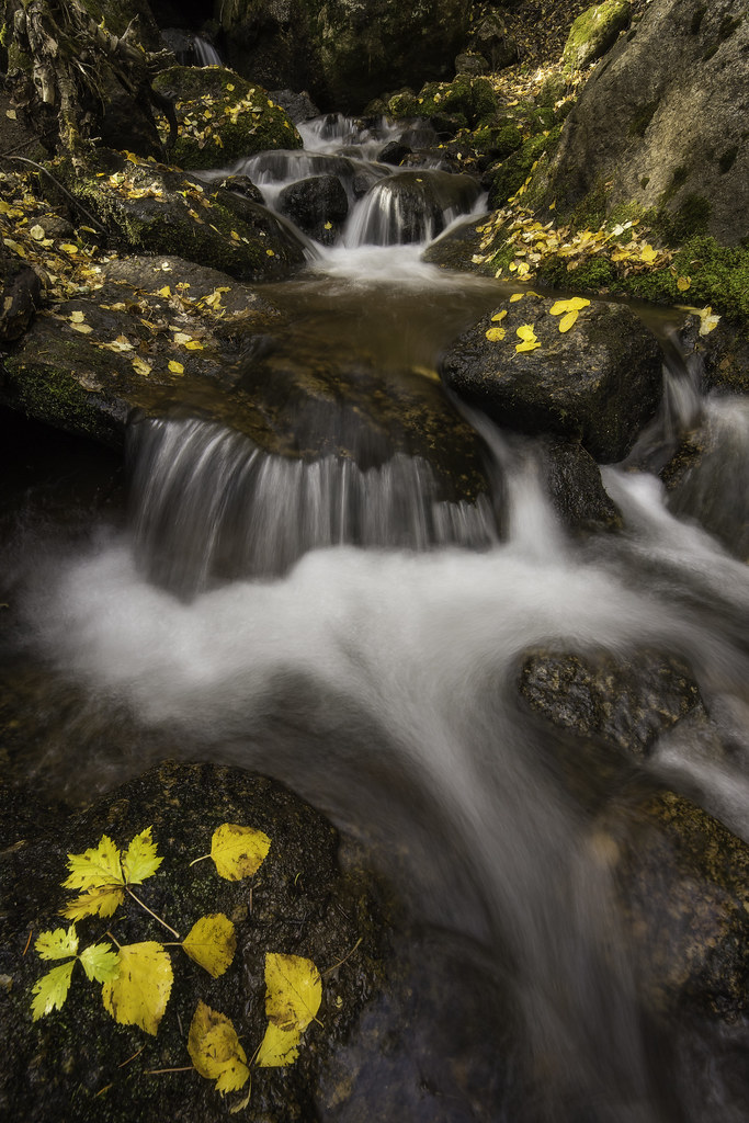 IMG_3491_modorton Green Mountain Falls, Colorado. October … Flickr