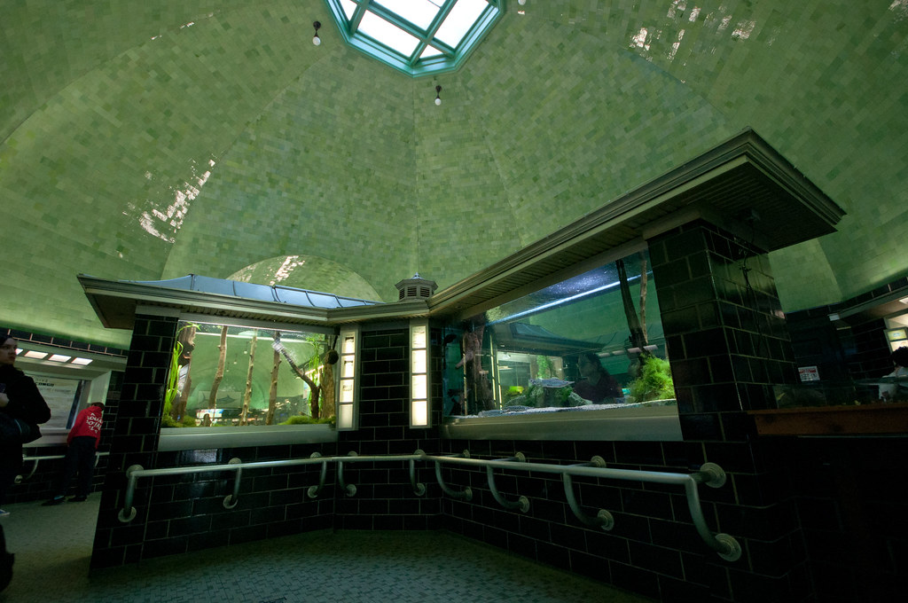 Belle Isle Aquarium Detroit, MI Secret5468 Flickr
