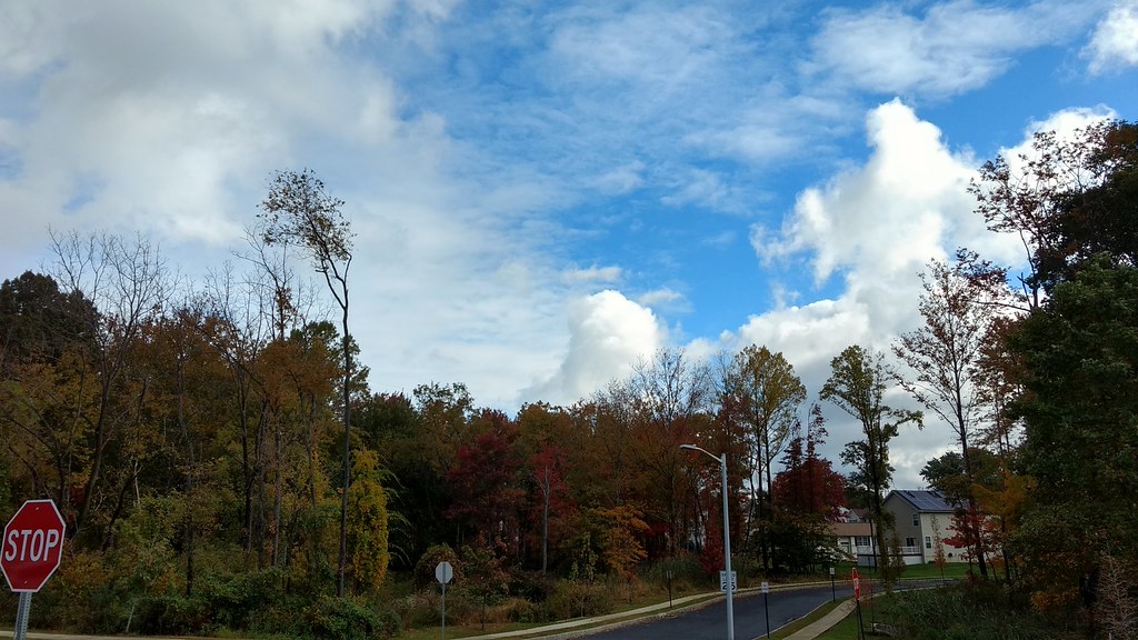 Farewell Pennsylvania, until next time 💕 Elizabeth K. Joseph Flickr