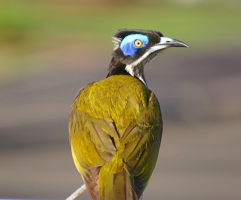 Hairdressers Darwin Nightcliff at Brian Sturgill blog