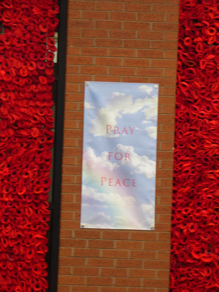 Knitted poppies Centenary of the end of WW1 The Bromsgrove