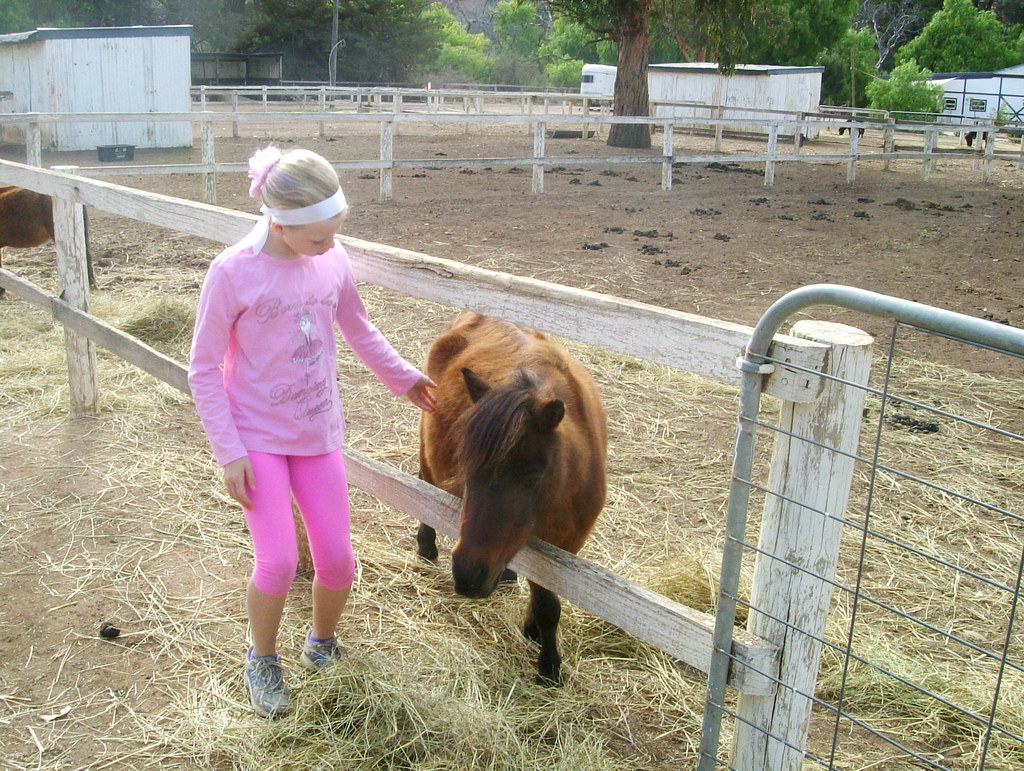 Eve feeding a miniature horses Our farm holiday in April 2… Flickr