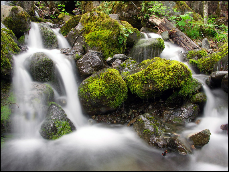 5 Scenic Drives Near Seattle Amateur Traveler