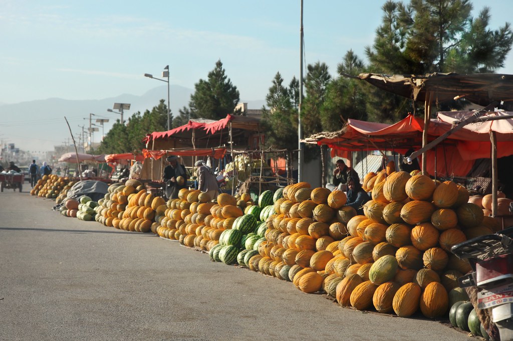 Some of the best Afghan melons are grown in the north. Flickr