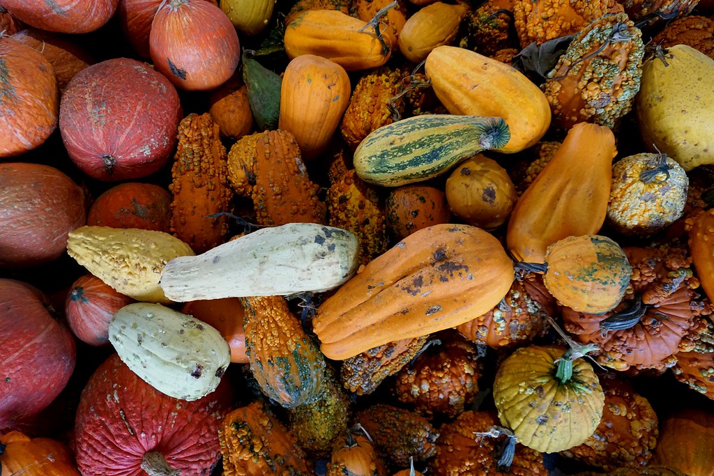 Dallas Farmer's Market Fall 2018 Amanda Grace Manville Flickr