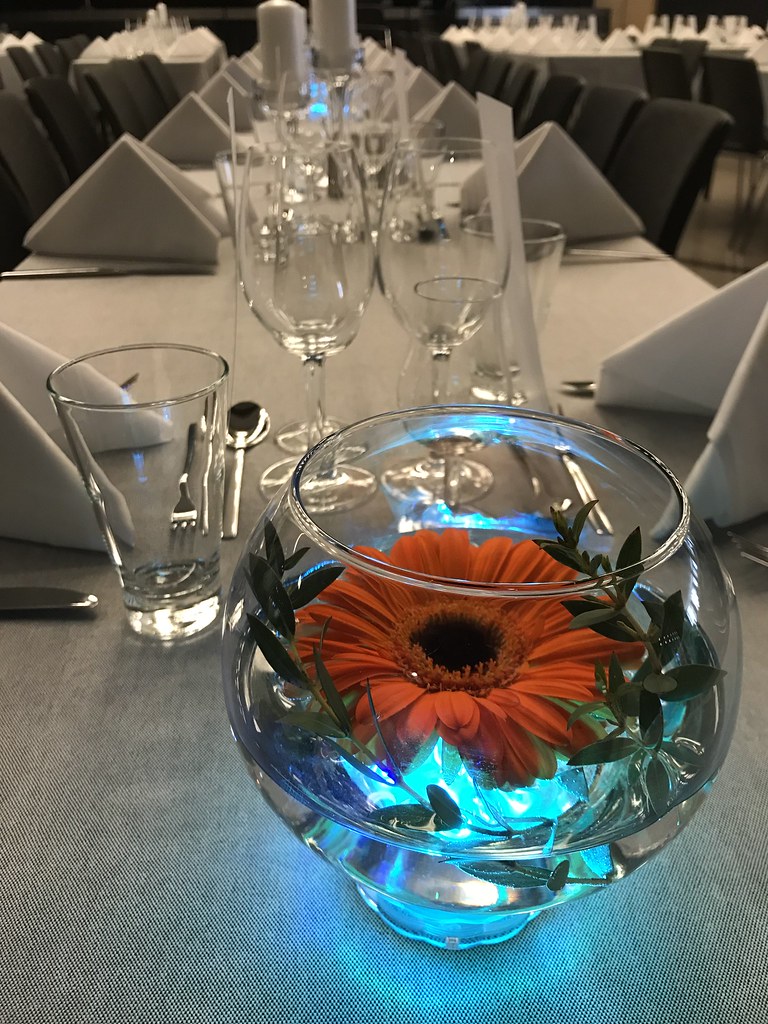 Untitled Flowers Gothia Towers Flickr