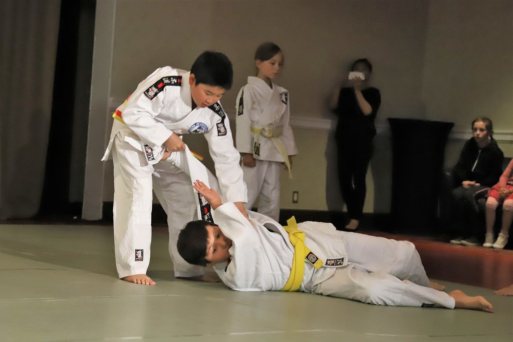 Police Judo Demo Team Police Judo Demo Team Flickr