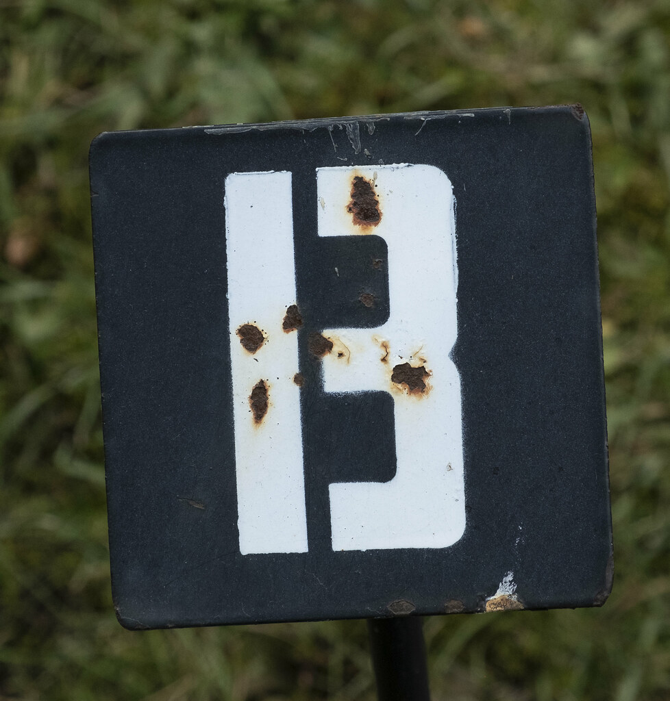 13 or B Site marker in Saint Joachim Catholic Cemetery, Ed… Flickr